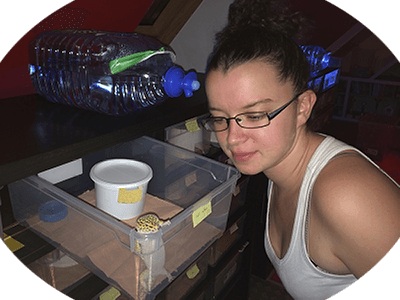 Association Geckosmose